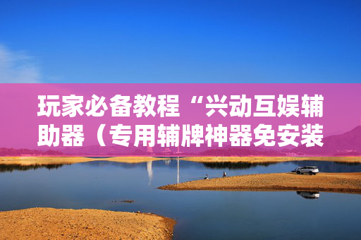 玩家必备教程“兴动互娱辅助器（专用辅牌神器免安装）