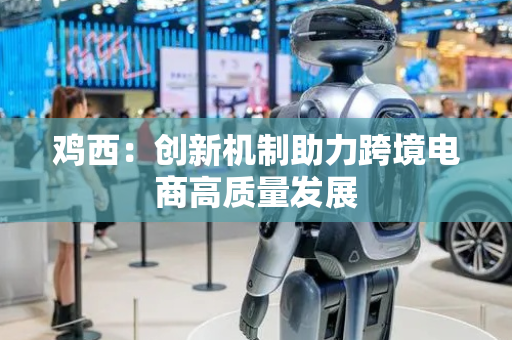 鸡西：创新机制助力跨境电商高质量发展