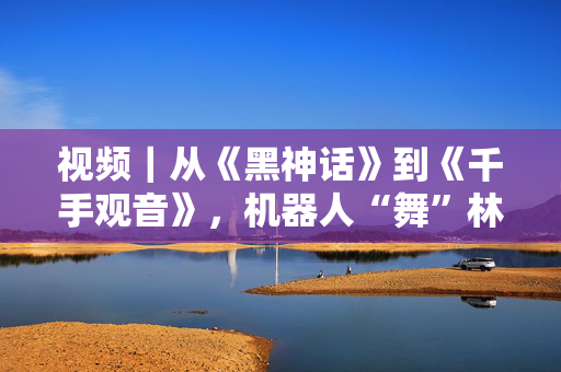 视频｜从《黑神话》到《千手观音》，机器人“舞”林大会在京上演