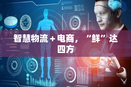 智慧物流＋电商，“鲜”达四方