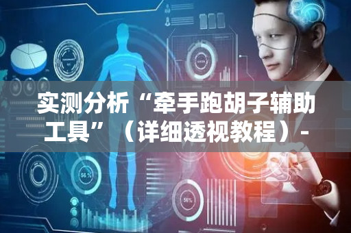 实测分析“牵手跑胡子辅助工具”（详细透视教程）-哔哩哔哩