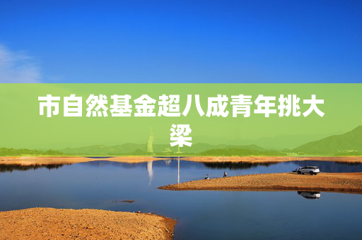 市自然基金超八成青年挑大梁