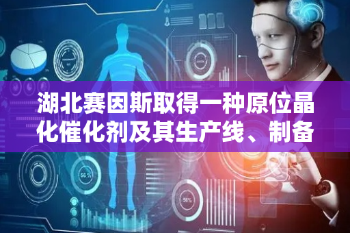 湖北赛因斯取得一种原位晶化催化剂及其生产线、制备方法专利
