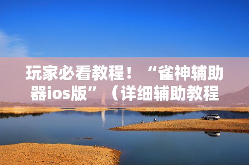 玩家必看教程！“雀神辅助器ios版”（详细辅助教程）-哔哩哔哩