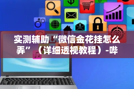 实测辅助“微信金花挂怎么弄”（详细透视教程）-哔哩哔哩