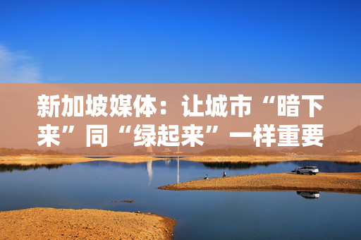 新加坡媒体：让城市“暗下来”同“绿起来”一样重要