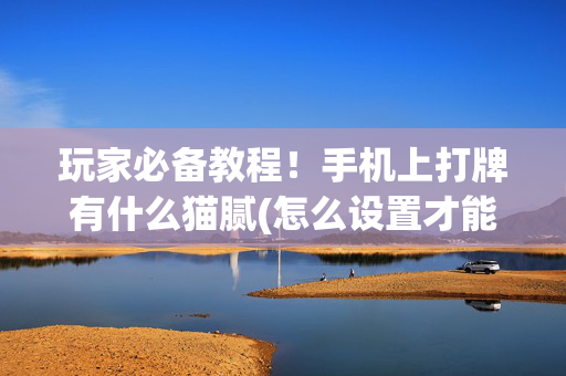 玩家必备教程！手机上打牌有什么猫腻(怎么设置才能赢)