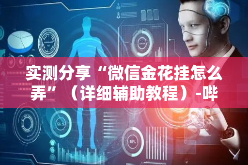 实测分享“微信金花挂怎么弄”（详细辅助教程）-哔哩哔哩