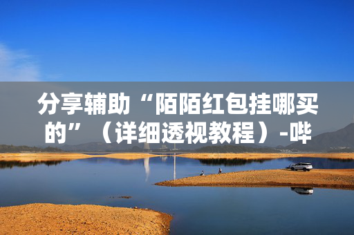 分享辅助“陌陌红包挂哪买的”（详细透视教程）-哔哩哔哩