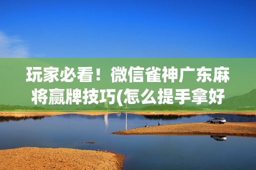 玩家必看！微信雀神广东麻将赢牌技巧(怎么提手拿好牌)