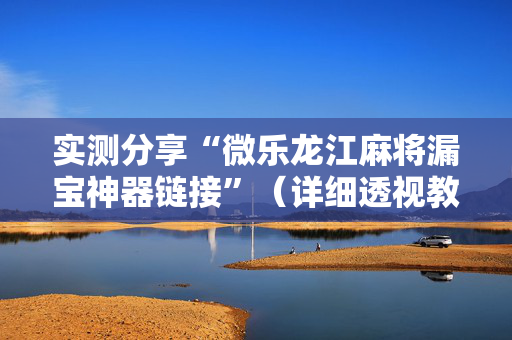 实测分享“微乐龙江麻将漏宝神器链接”（详细透视教程）-哔哩哔哩