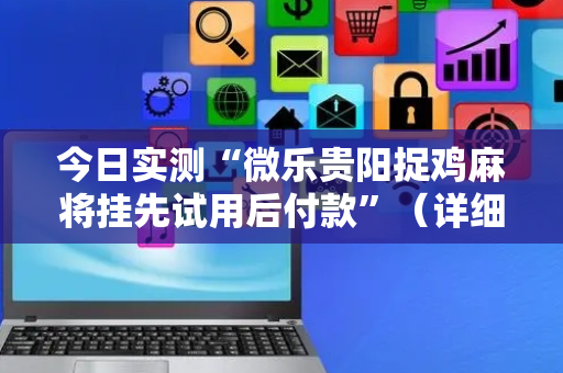今日实测“微乐贵阳捉鸡麻将挂先试用后付款”（详细透视教程）-哔哩哔哩