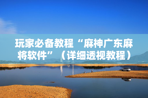 玩家必备教程“麻神广东麻将软件”（详细透视教程）-哔哩哔哩