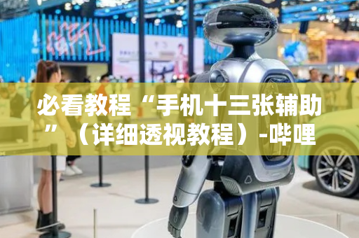 必看教程“手机十三张辅助”（详细透视教程）-哔哩哔哩