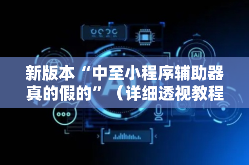新版本“中至小程序辅助器真的假的”（详细透视教程）-哔哩哔哩