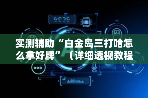 实测辅助“白金岛三打哈怎么拿好牌”（详细透视教程）-哔哩哔哩