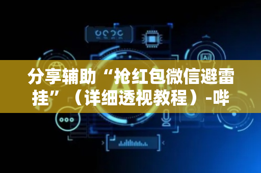 分享辅助“抢红包微信避雷挂”（详细透视教程）-哔哩哔哩