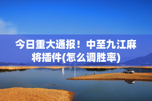 今日重大通报！中至九江麻将插件(怎么调胜率)