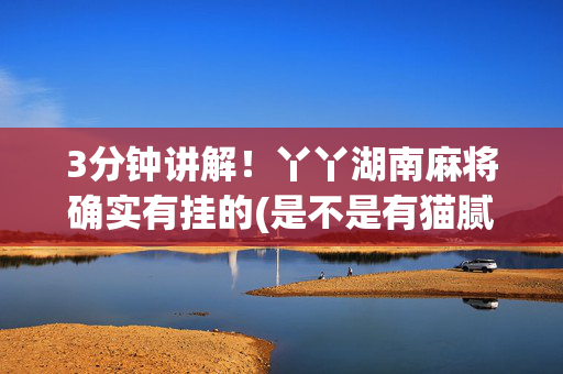 3分钟讲解！丫丫湖南麻将确实有挂的(是不是有猫腻)