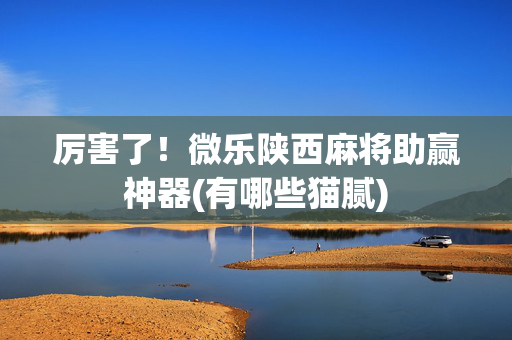 厉害了！微乐陕西麻将助赢神器(有哪些猫腻)
