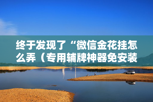终于发现了“微信金花挂怎么弄（专用辅牌神器免安装）