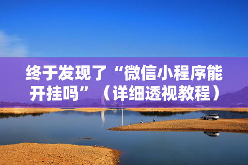 终于发现了“微信小程序能开挂吗”（详细透视教程）-哔哩哔哩