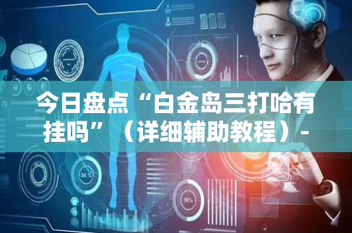 今日盘点“白金岛三打哈有挂吗”（详细辅助教程）-哔哩哔哩
