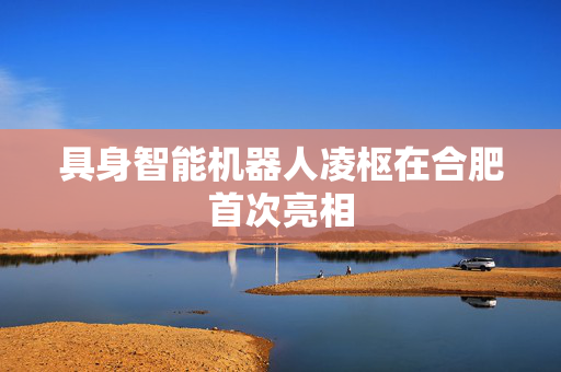 具身智能机器人凌枢在合肥首次亮相