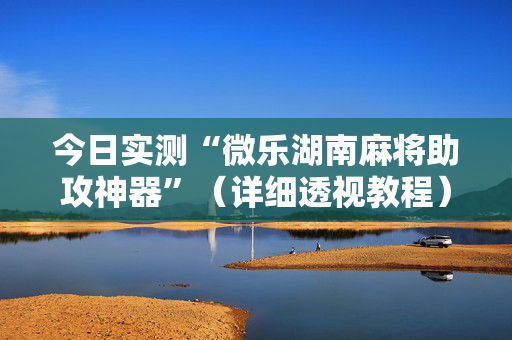 今日实测“微乐湖南麻将助攻神器”（详细透视教程）-哔哩哔哩
