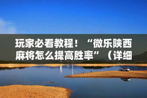 玩家必看教程！“微乐陕西麻将怎么提高胜率”（详细透视教程）-哔哩哔哩