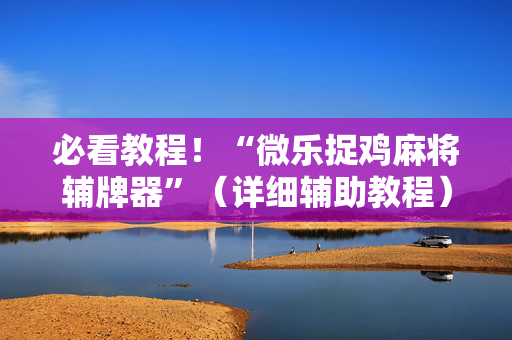 必看教程！“微乐捉鸡麻将辅牌器”（详细辅助教程）-哔哩哔哩
