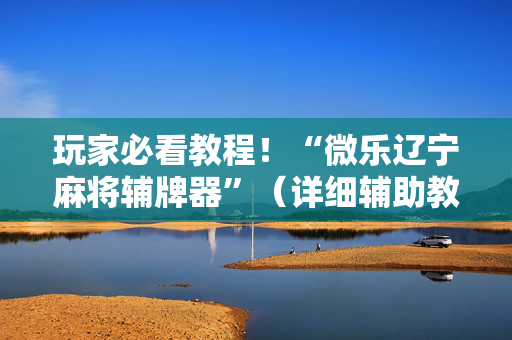 玩家必看教程！“微乐辽宁麻将辅牌器”（详细辅助教程）-哔哩哔哩