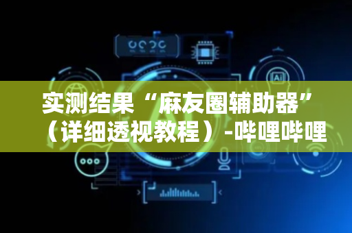 实测结果“麻友圈辅助器”（详细透视教程）-哔哩哔哩