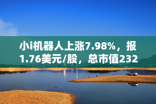小i机器人上涨7.98%，报1.76美元/股，总市值2325.34万美元
