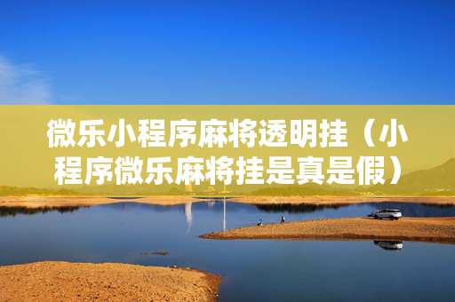 微乐小程序麻将透明挂（小程序微乐麻将挂是真是假）