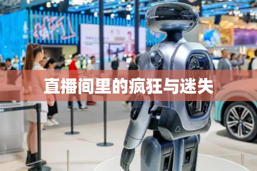 直播间里的疯狂与迷失