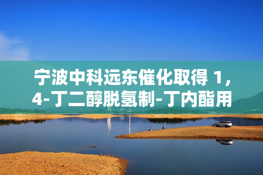 宁波中科远东催化取得 1，4-丁二醇脱氢制-丁内酯用催化剂相关专利