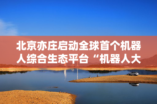 北京亦庄启动全球首个机器人综合生态平台“机器人大世界2.0”