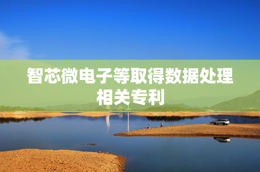 智芯微电子等取得数据处理相关专利