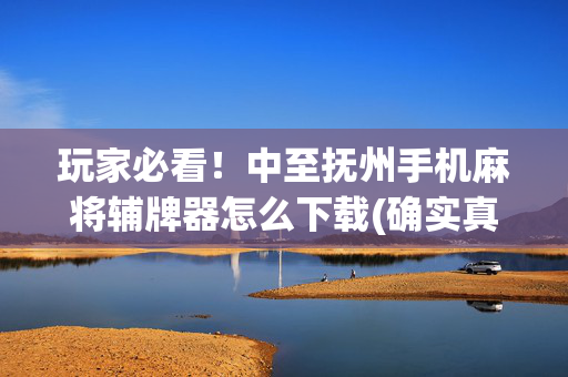 玩家必看！中至抚州手机麻将辅牌器怎么下载(确实真的有挂)