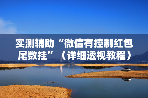 实测辅助“微信有控制红包尾数挂”（详细透视教程）-哔哩哔哩