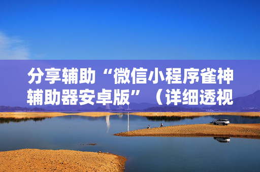分享辅助“微信小程序雀神辅助器安卓版”（详细透视教程）-哔哩哔哩