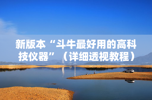 新版本“斗牛最好用的高科技仪器”（详细透视教程）-哔哩哔哩