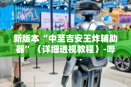 新版本“中至吉安王炸辅助器”（详细透视教程）-哔哩哔哩