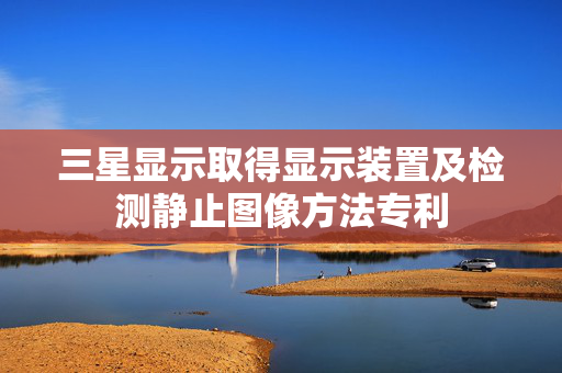 三星显示取得显示装置及检测静止图像方法专利
