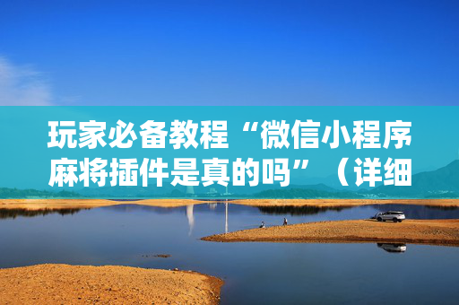 玩家必备教程“微信小程序麻将插件是真的吗”（详细透视教程）-哔哩哔哩