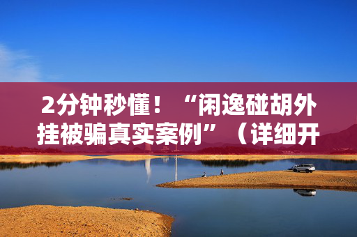 2分钟秒懂！“闲逸碰胡外挂被骗真实案例”（详细开挂教程）-哔哩哔哩