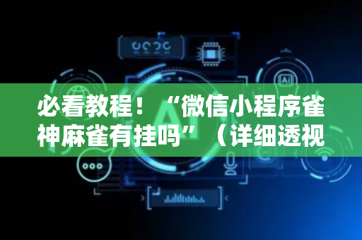 必看教程！“微信小程序雀神麻雀有挂吗”（详细透视教程）-哔哩哔哩
