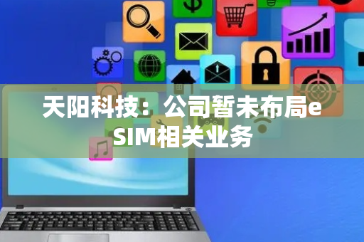 天阳科技：公司暂未布局eSIM相关业务
