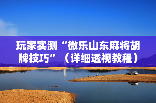 玩家实测“微乐山东麻将胡牌技巧”（详细透视教程）-哔哩哔哩